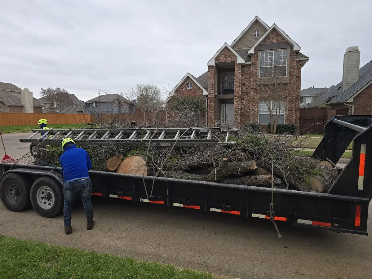 Expert Tree Fertilization with proper safety equipment in Baudette